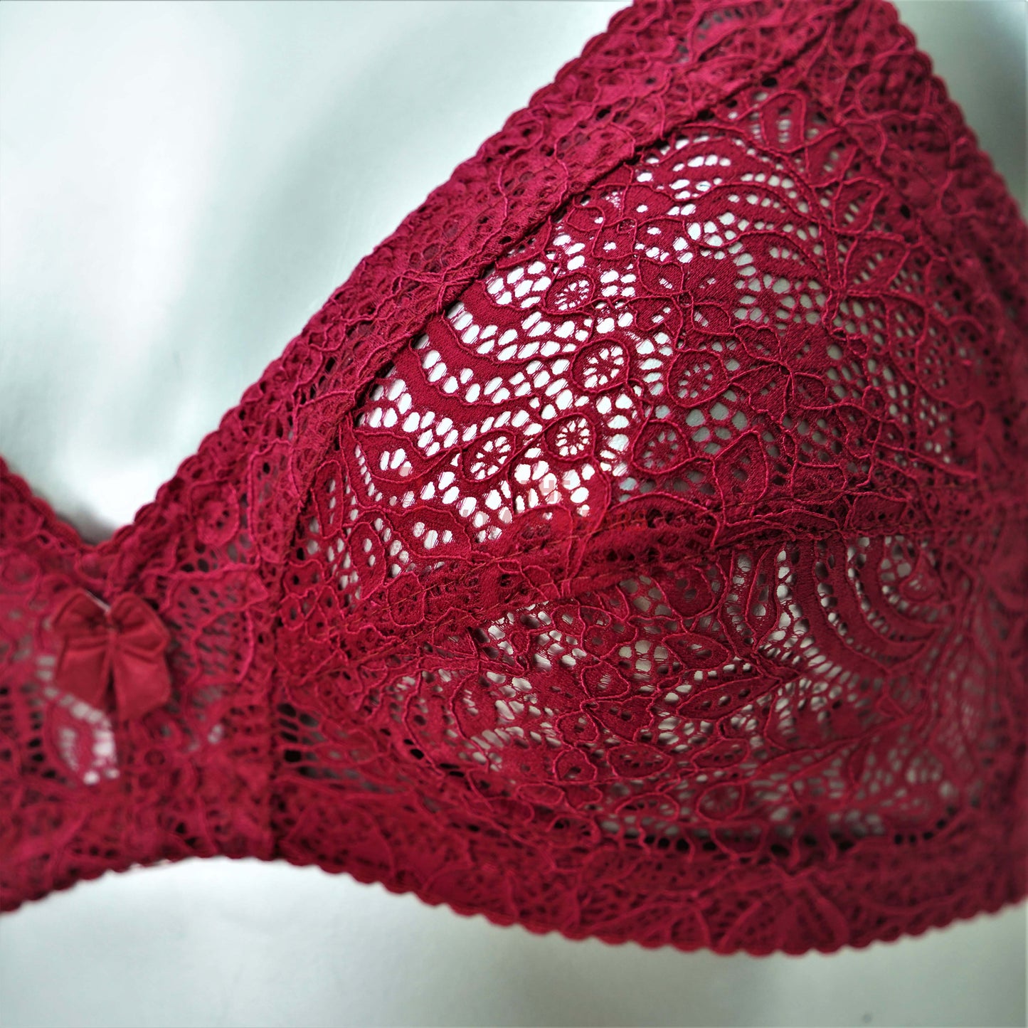 Women's Soft Lace Summer Net Bra (2040)