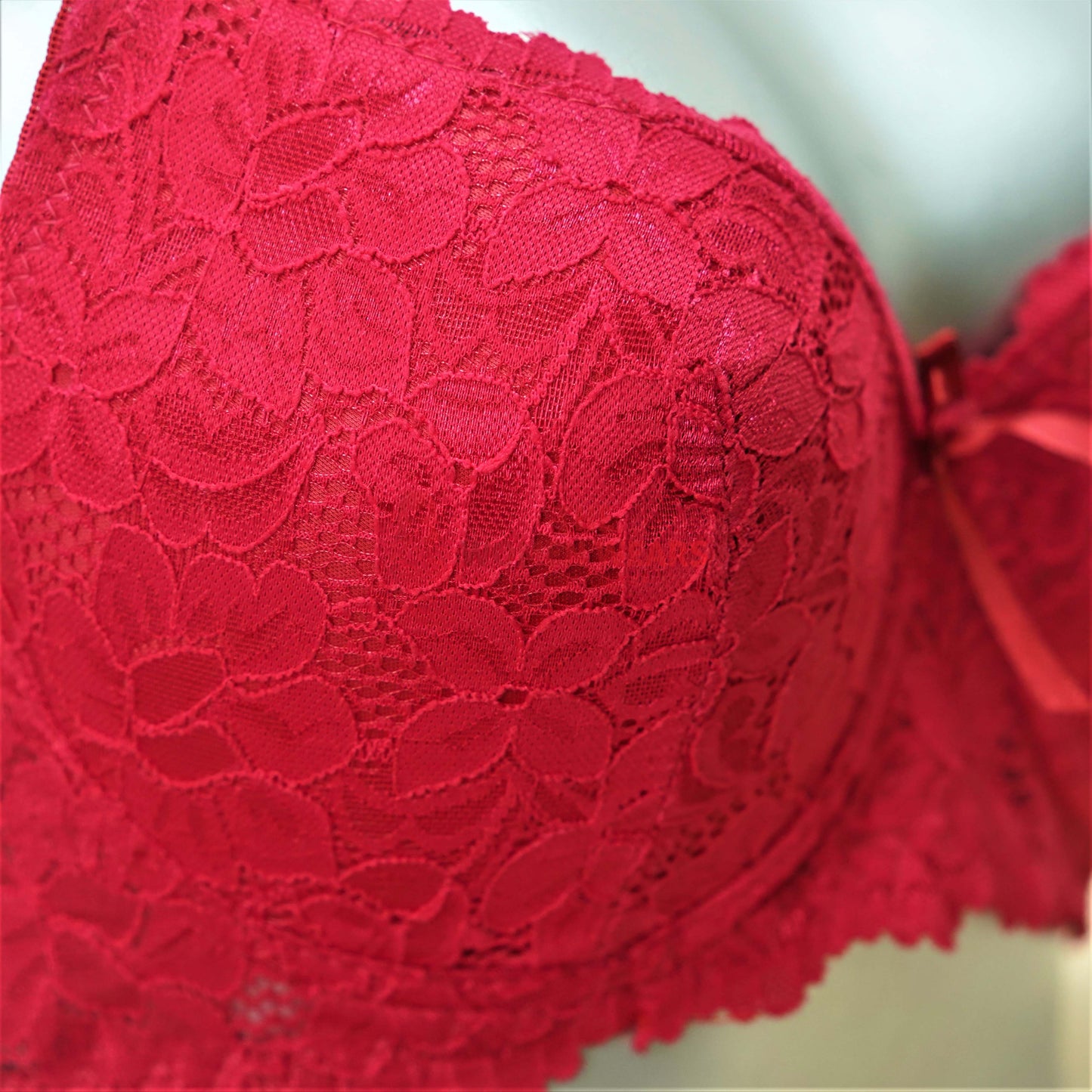 Ladies Fashion Under Wired Fancy Bra (12720)