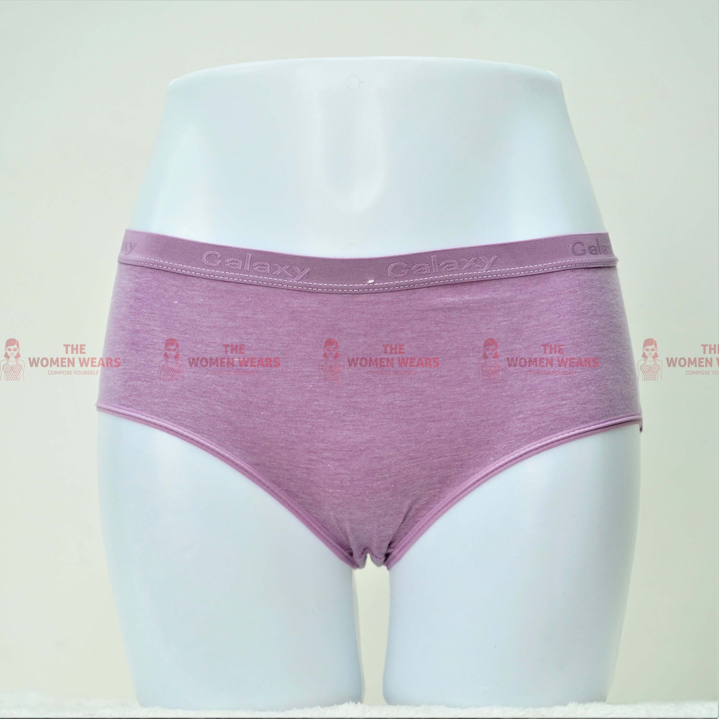 Women's Galaxy Soft Wear Panties (5526)