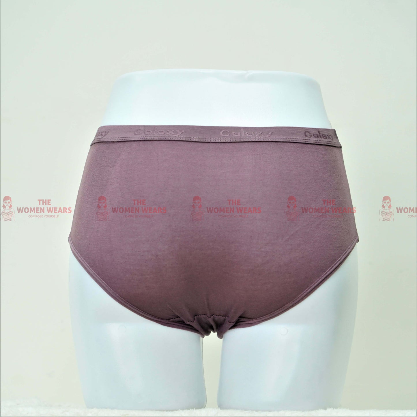 Women's Galaxy Soft Wear Panties (5526)