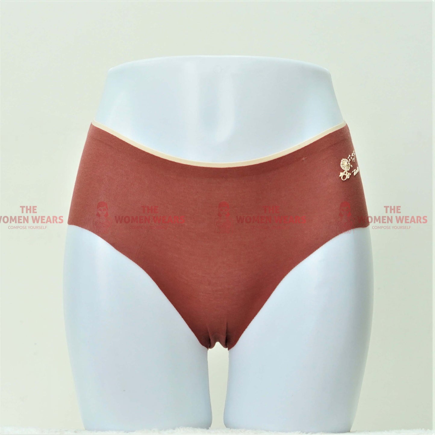Girls Briefs Fashion Cotton Panties (ZN-063)