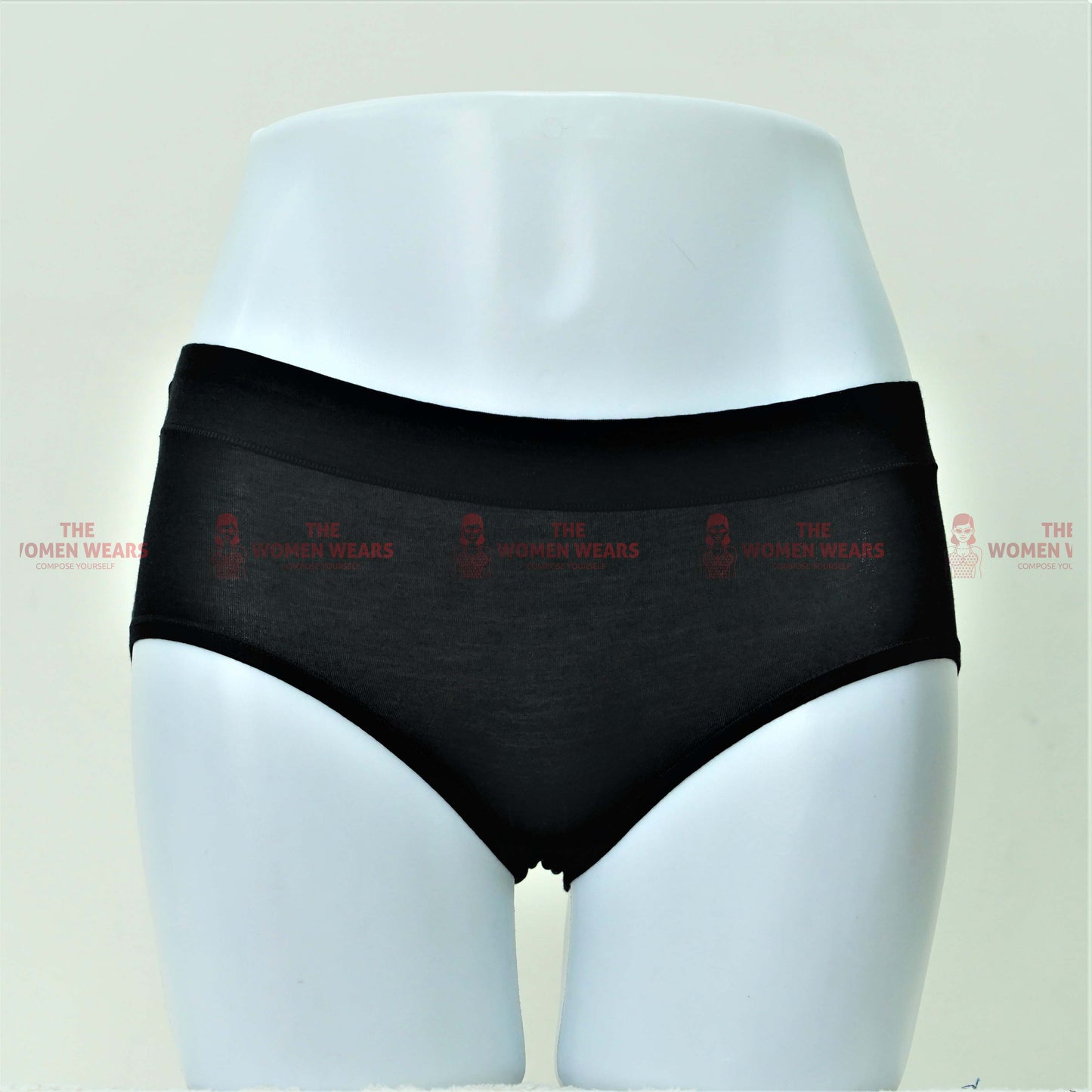 Ladies Colorful and Leak Proof Fancy Panties (9769)