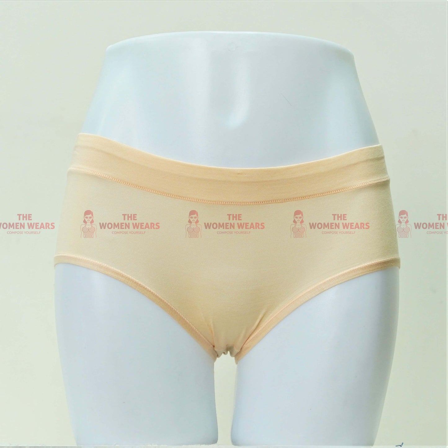 Ladies Colorful and Leak Proof Fancy Panties (9769)