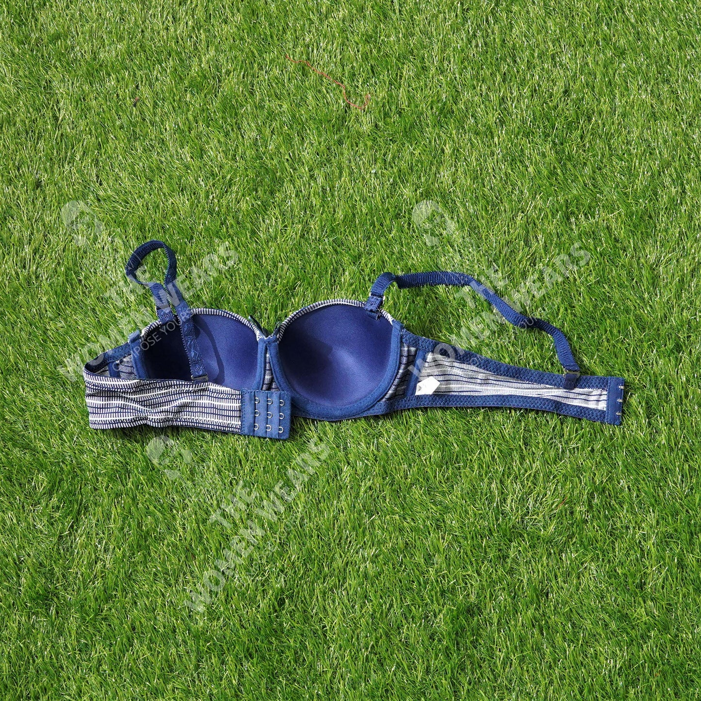 Lining Printed Padded Underwire Bra (31175)