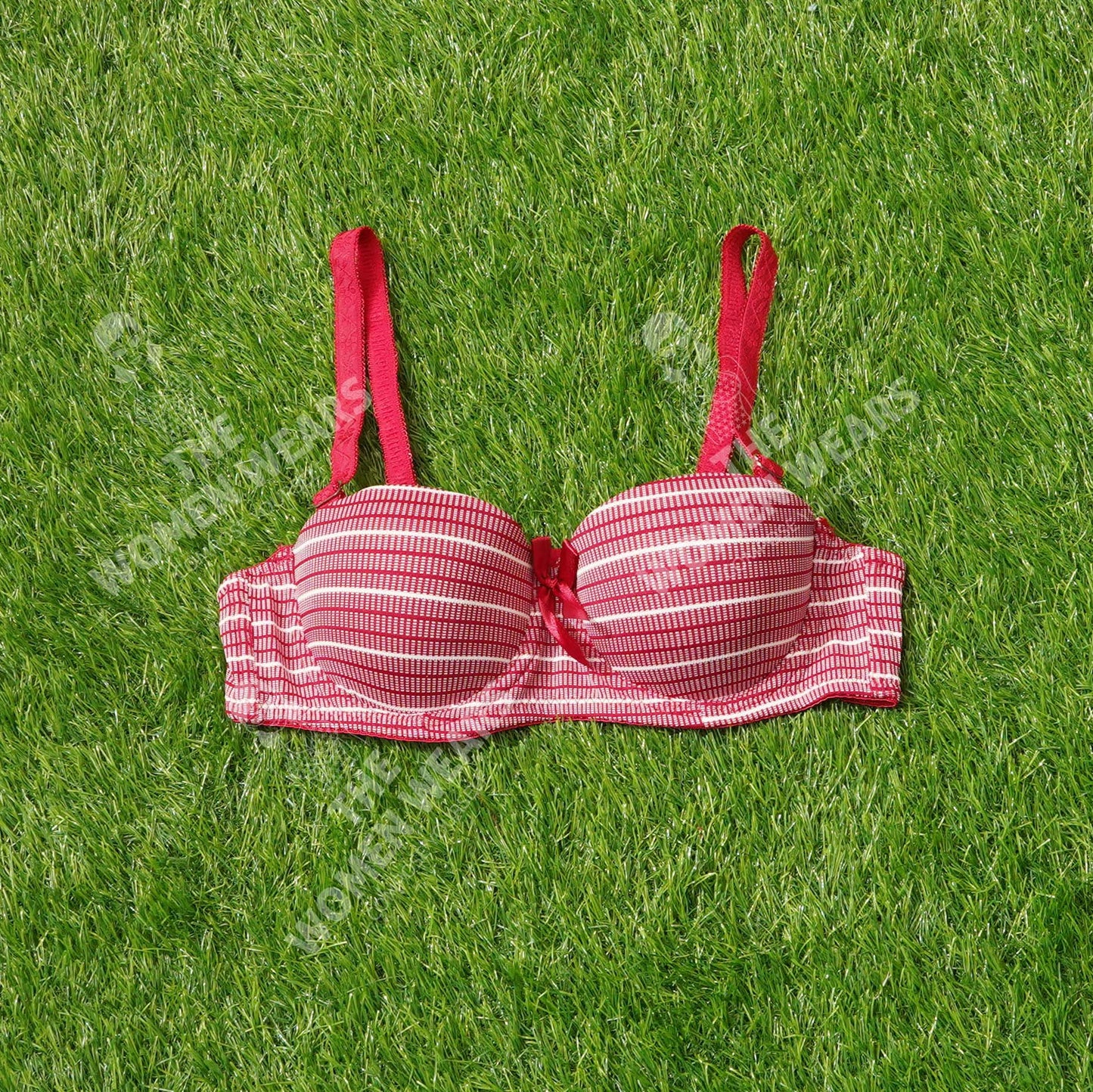 Lining Printed Padded Underwire Bra (31175)