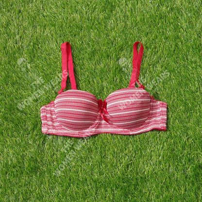 Lining Printed Padded Underwire Bra (31175)