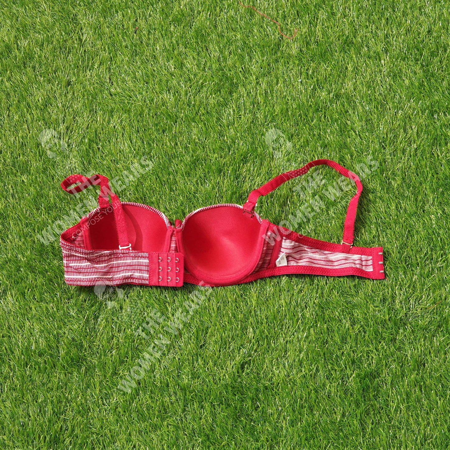 Lining Printed Padded Underwire Bra (31175)