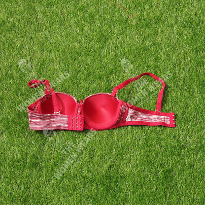 Lining Printed Padded Underwire Bra (31175)