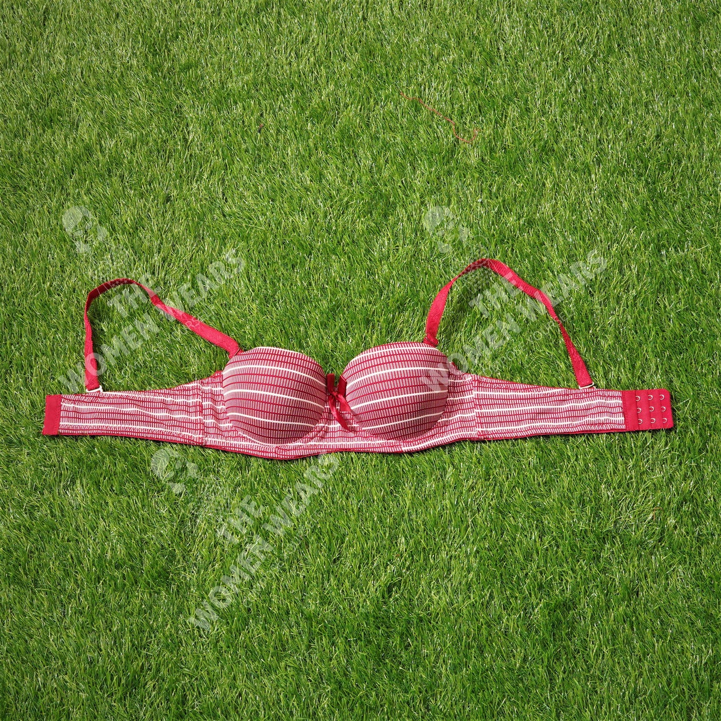 Lining Printed Padded Underwire Bra (31175)