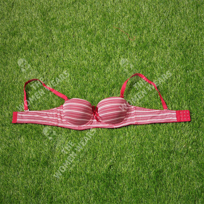 Lining Printed Padded Underwire Bra (31175)