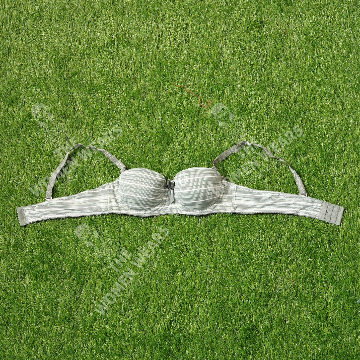 Lining Printed Padded Underwire Bra (31175)