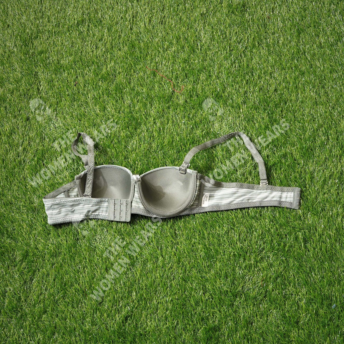 Lining Printed Padded Underwire Bra (31175)