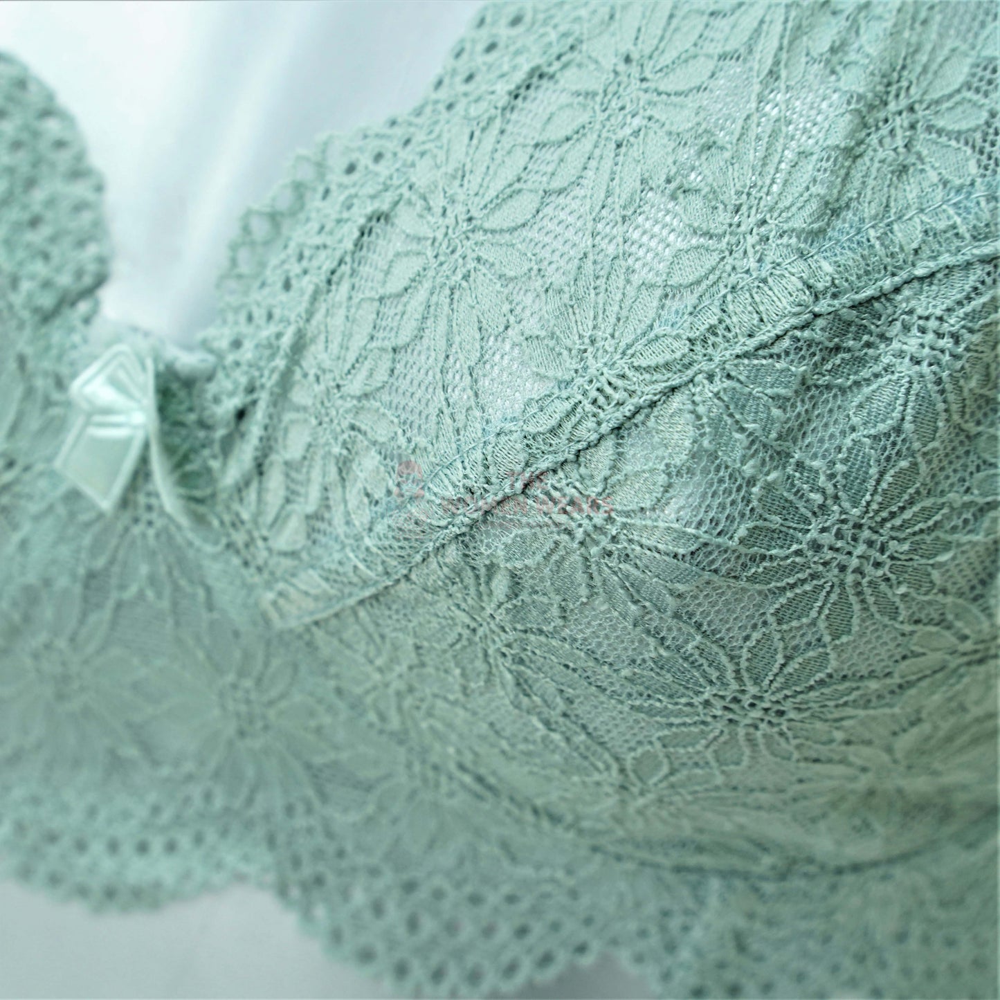 Galaxy Most Selling Full Net Non Padded Wireless Bra (22003)