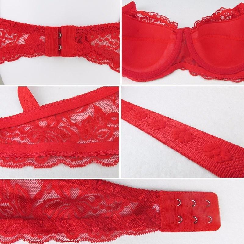 Lace Comfortable Pushup Underwire Bra  (SS-3313)