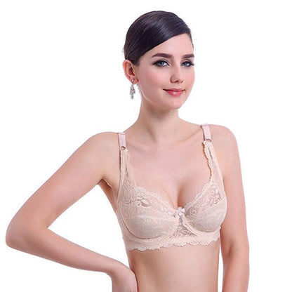 Lace Comfortable Pushup Underwire Bra  (SS-3313)