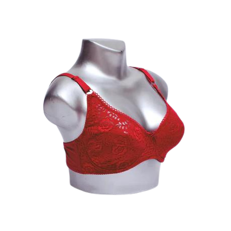 Light Padded Floral Lace Everyday Bra (6112)