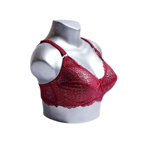 Luxurious Emroidered Non paded bra (SS-024)