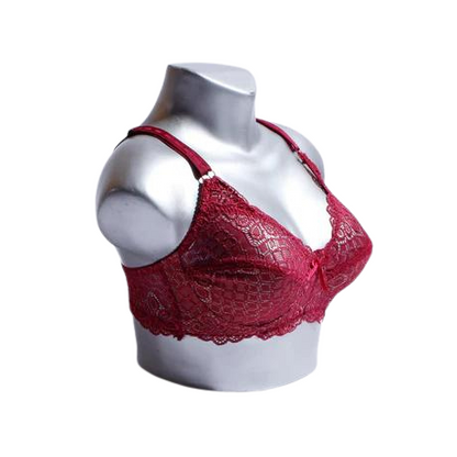 Luxurious Emroidered Non paded bra (SS-024)