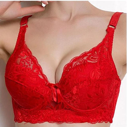 Lace Comfortable Pushup Underwire Bra  (SS-3313)